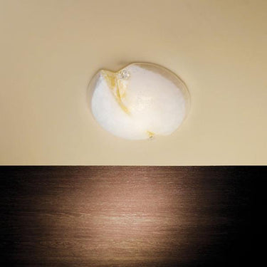 Sforzin Illuminazione Ortica Scavo Plafoniera Piccola attacco rs7 112mm (ULTIMI TRE DISPONIBILI) Sforzin illuminazione Lampade da parete